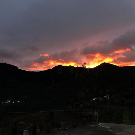 Affittacamere Casa Da Russa Mountain Experience Vila Real Esterno foto