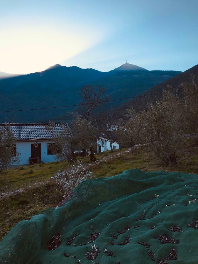 Affittacamere Casa Da Russa Mountain Experience Vila Real Esterno foto