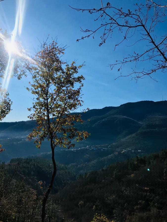 Affittacamere Casa Da Russa Mountain Experience Vila Real Esterno foto